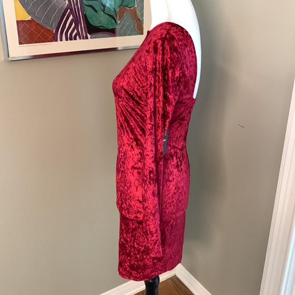NWT Velvet Dress - Picture 3 of 7